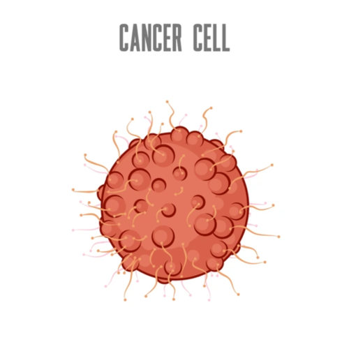 Cancer Medicines