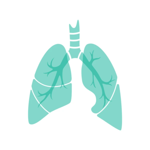 Respiratory