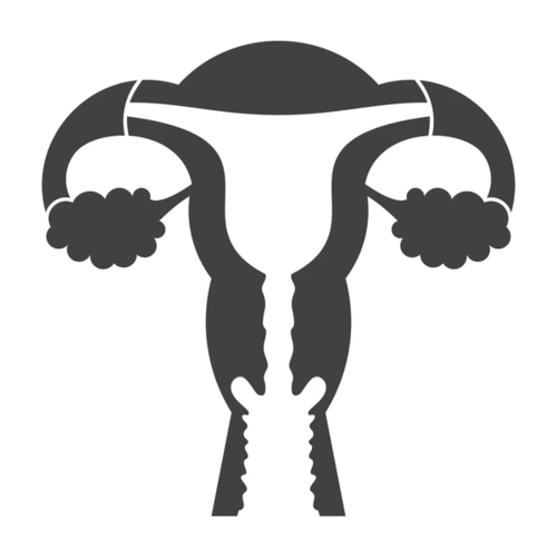 Gynaecological Medicines